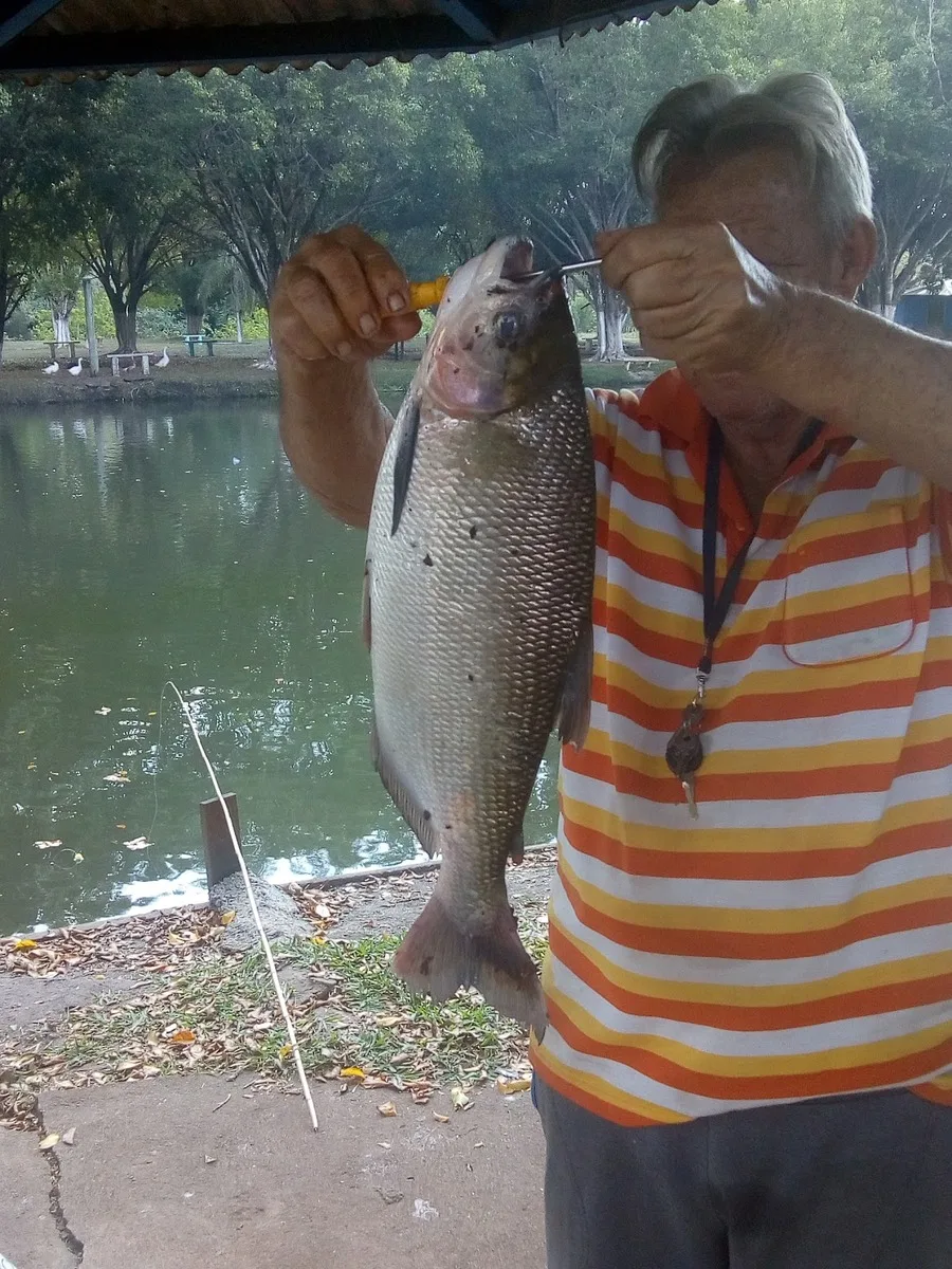Peixe pescado no Pesqueiro do Martins